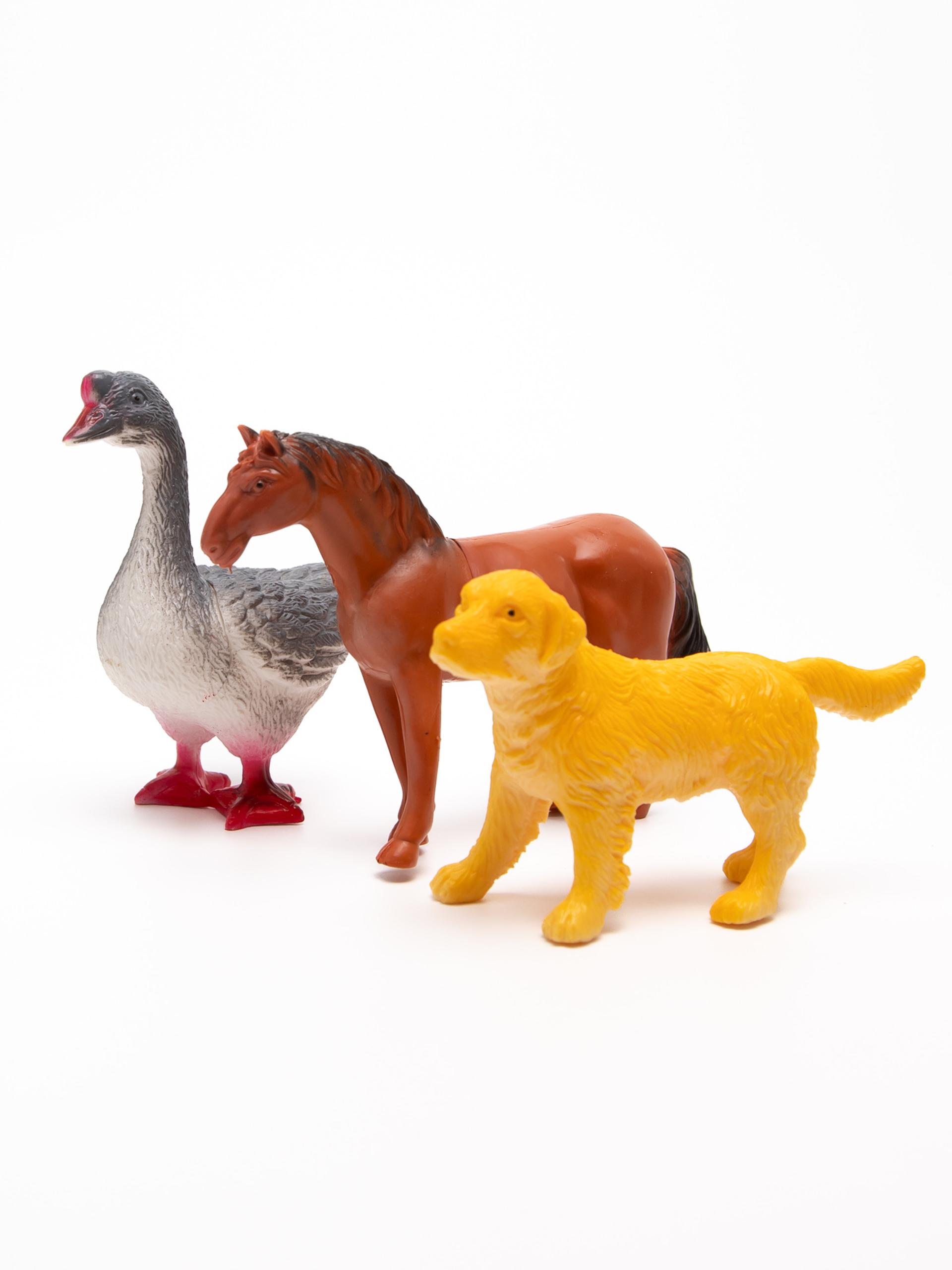 Xotin eriga boglab qoygan